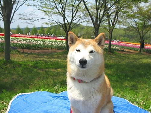 e0072023_20364331.jpg