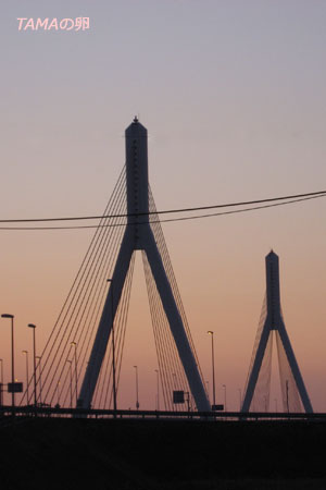 c0024729_2244378.jpg