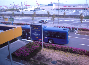 d0017632_113643.jpg