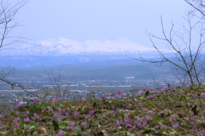 大雪を望む_f0009433_21492835.jpg