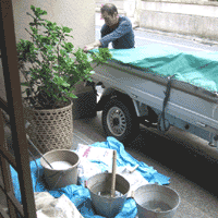 d0033734_1512554.gif