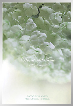 「*Wonderful Time*」のユリシスさん登場！_c0039735_17214617.jpg