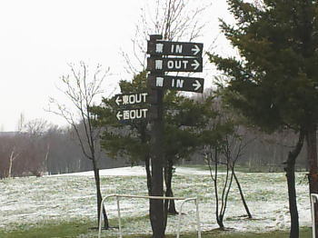 b0001440_1142215.jpg