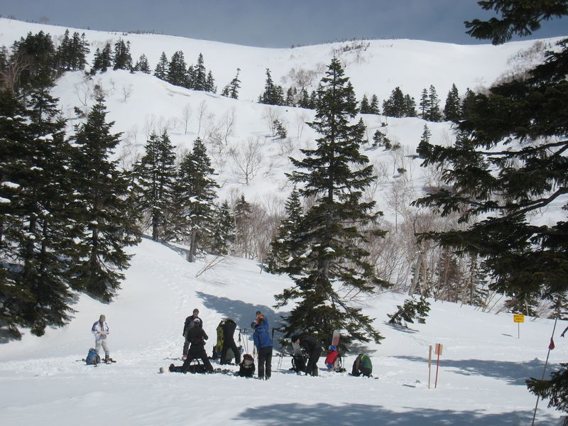 e0126946_2338343.jpg