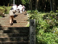 四国八十八ケ所　お遍路の旅_d0048350_2141036.jpg