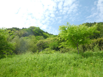 c0155853_19564440.jpg