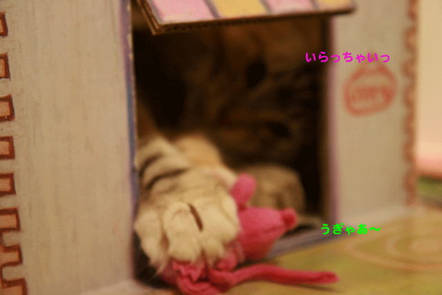 e0158561_2229492.gif