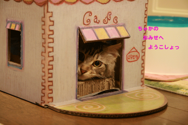 cafe de chakaへようこそ♪_e0158561_2229551.gif