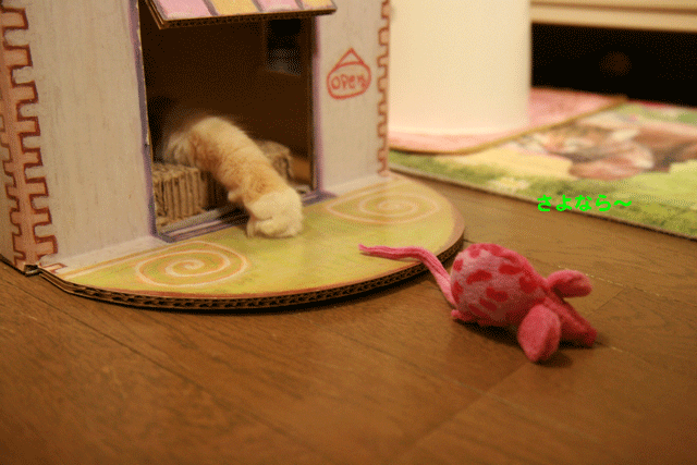 e0158561_2230445.gif