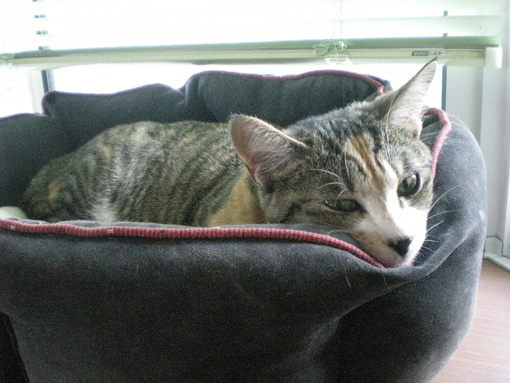2009年4月28日(火)幸せを感じるこころ!_f0060461_1839911.jpg