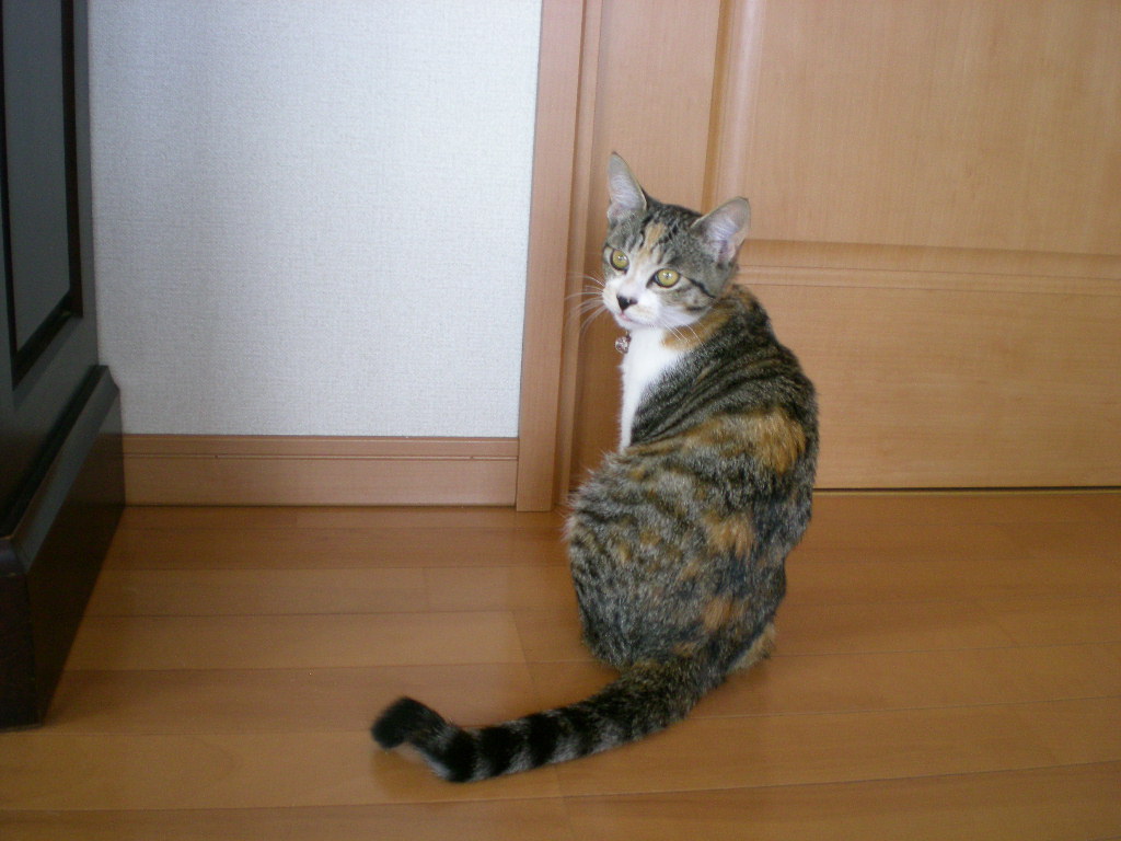 2009年4月28日(火)幸せを感じるこころ!_f0060461_1854978.jpg