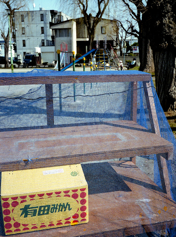 c0084666_07147.jpg