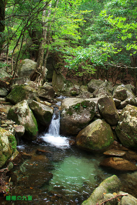 f0173067_1034918.jpg