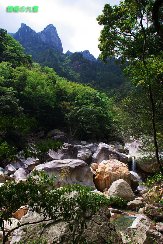 f0173067_10473312.jpg