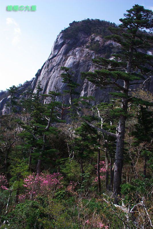 f0173067_9483515.jpg
