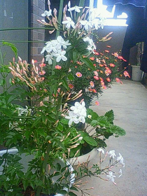 c0162773_18104371.jpg