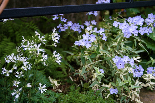 d0000274_15203857.jpg