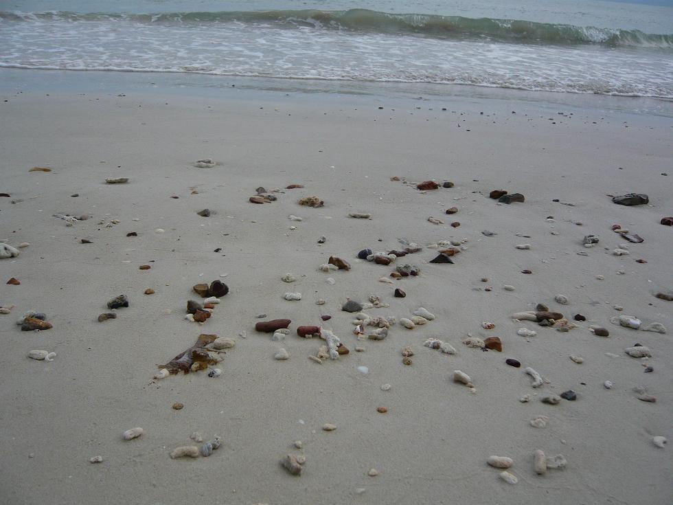 f0178278_93234.jpg