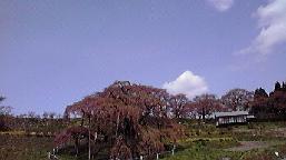 f0098680_17402.jpg