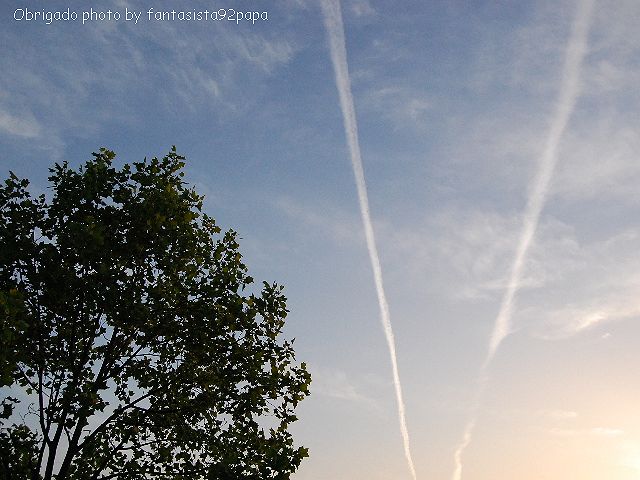 夕空のヒコーキ雲_c0156086_11305743.jpg