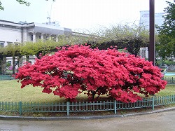 c0107402_11281024.jpg