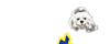 c0128303_126864.gif