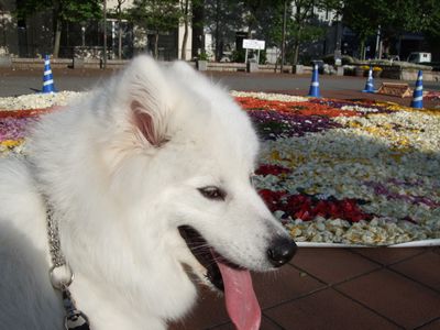 d0149103_859549.jpg