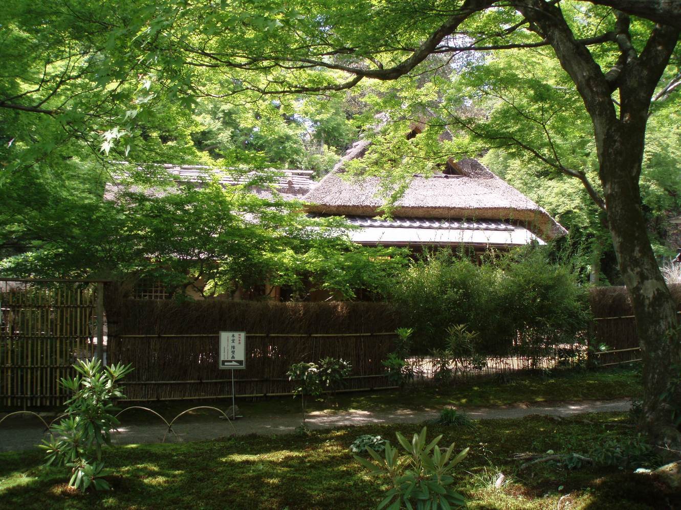 宝厳院＠嵐山_c0098304_2044191.jpg