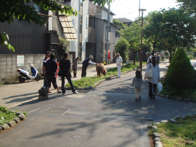 c0125105_16523692.jpg
