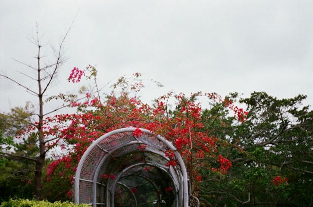 f0177305_0383836.jpg