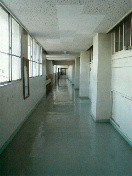 f0127408_20204585.jpg