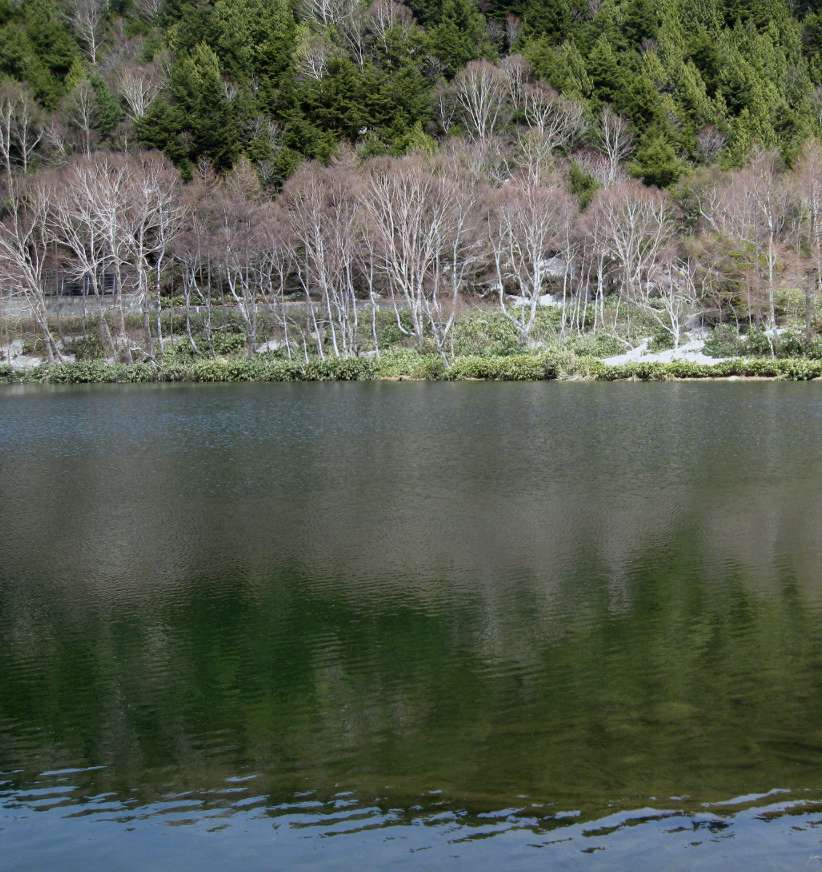 e0003910_17365390.jpg