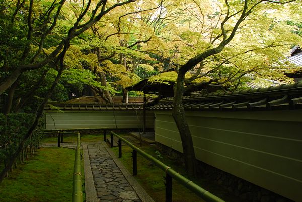 新緑　1　-　高桐院（大徳寺塔頭）_a0114714_2213536.jpg