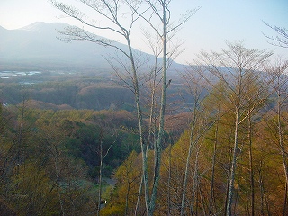 b0159914_22165728.jpg