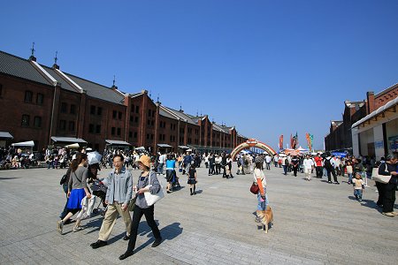 d0143214_23322023.jpg