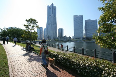 d0143214_23382815.jpg