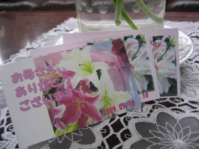 花と緑と雪の里・・・芝桜_f0067514_12365998.jpg