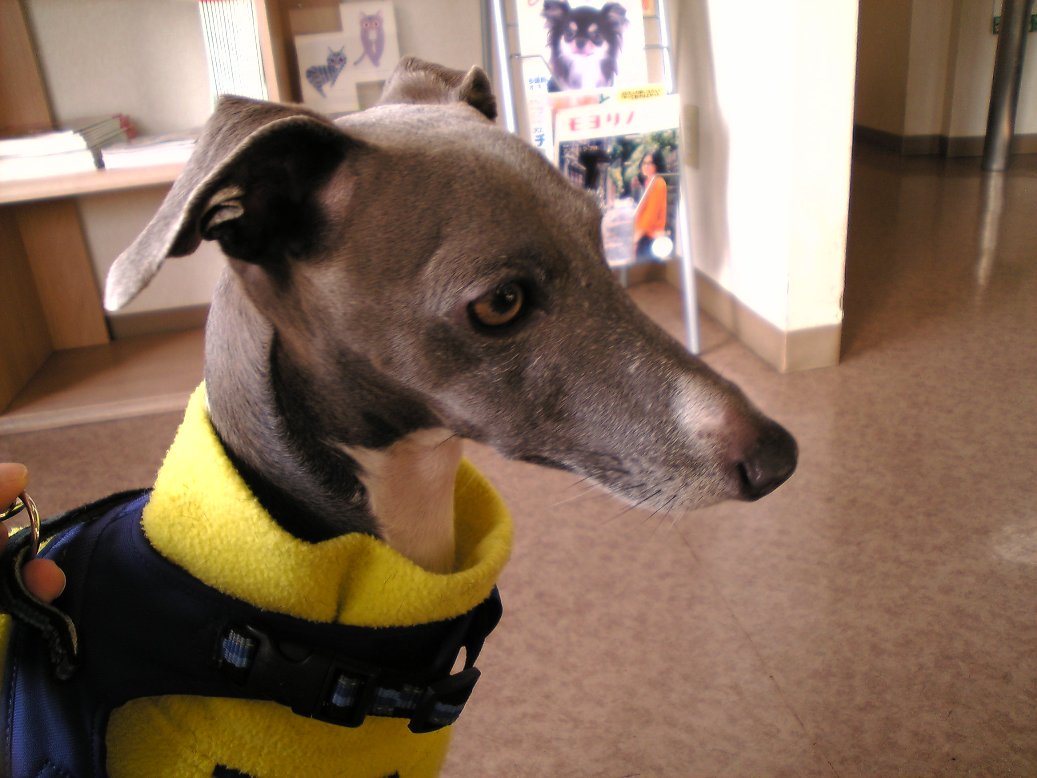 c0003217_1557737.jpg