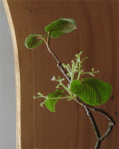 c0198717_1384276.gif