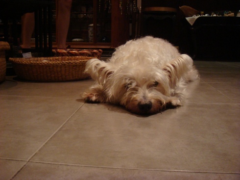 c0190424_22232566.jpg