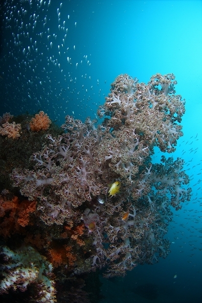f0206424_14243462.jpg
