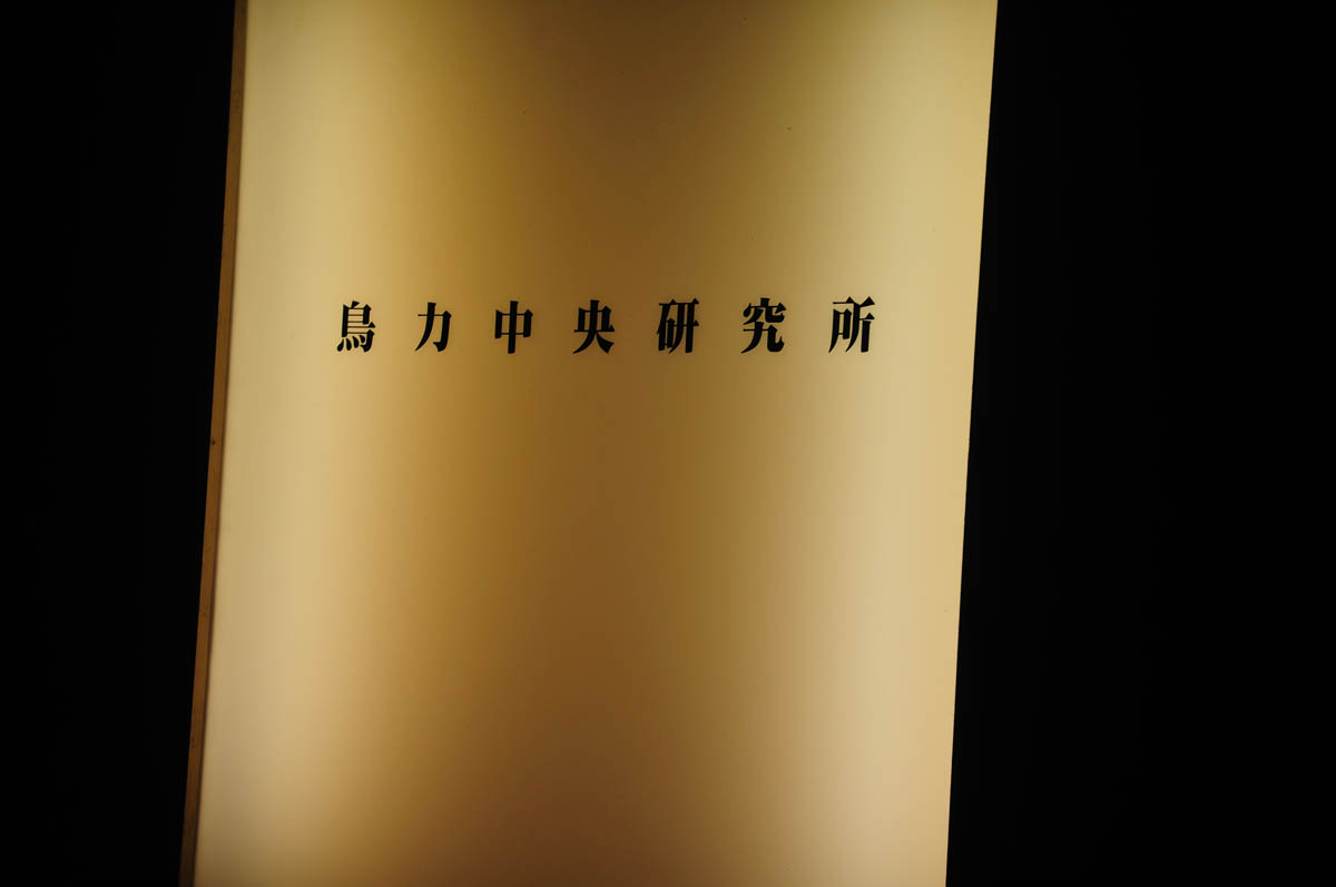 b0142435_1053840.jpg