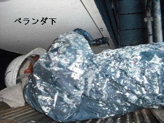 塗装工事6日目_f0031037_20535791.jpg