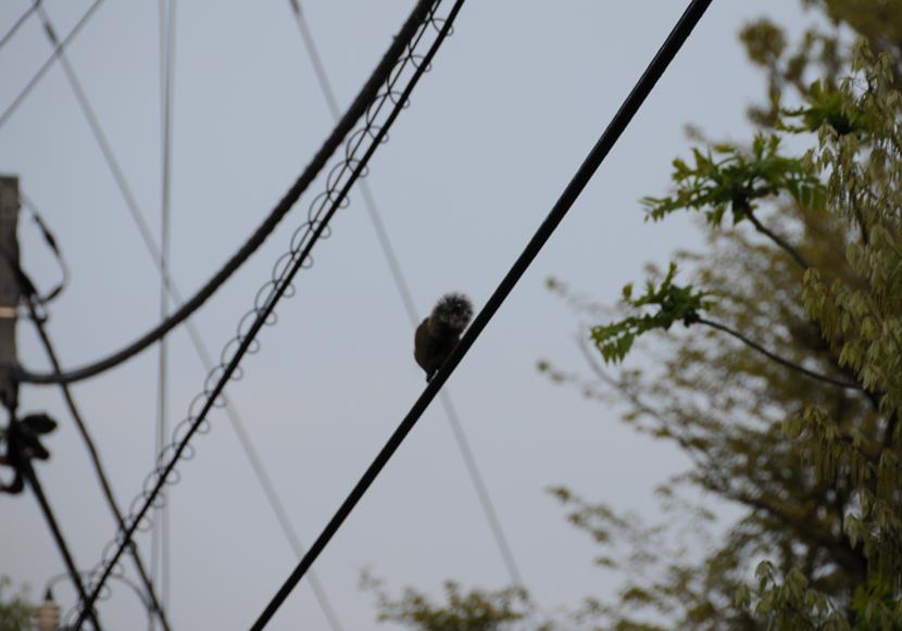 c0147241_2043847.jpg