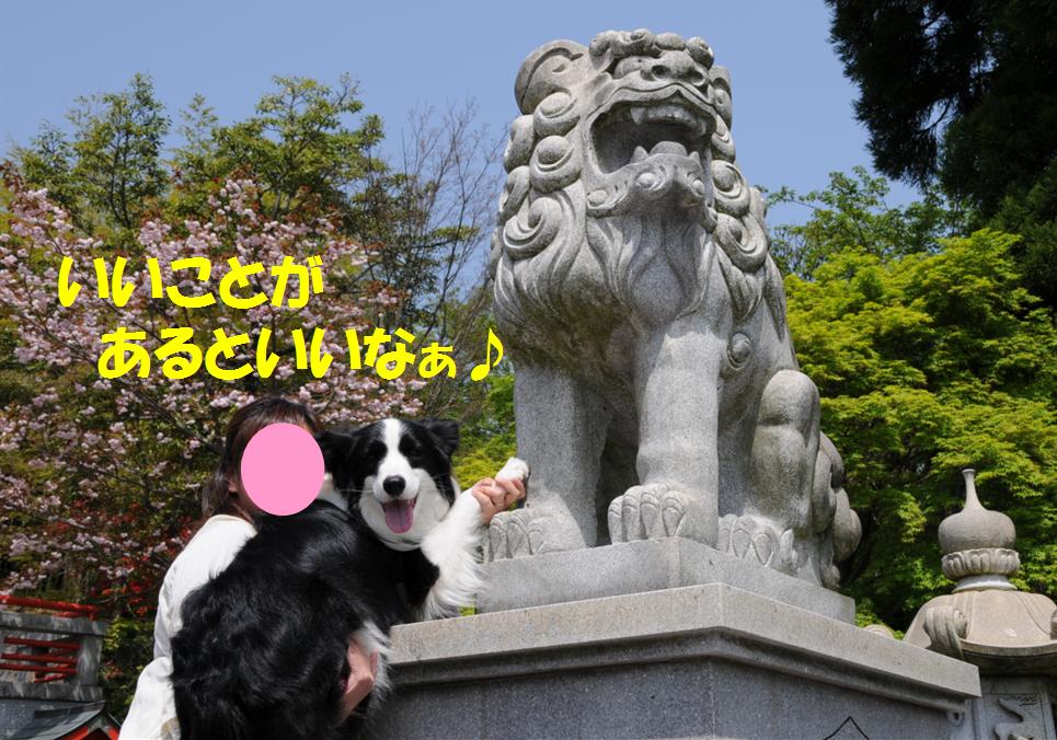 c0147241_2052716.jpg