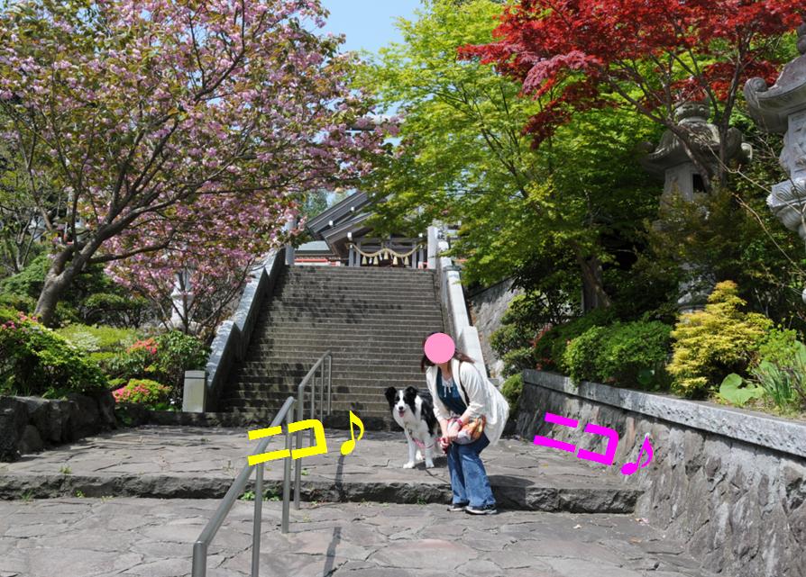 c0147241_205915.jpg