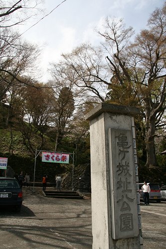 亀ヶ城跡公園の桜 その1_f0048546_6165833.jpg