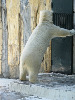 日本平動物園_b0142548_22132358.jpg