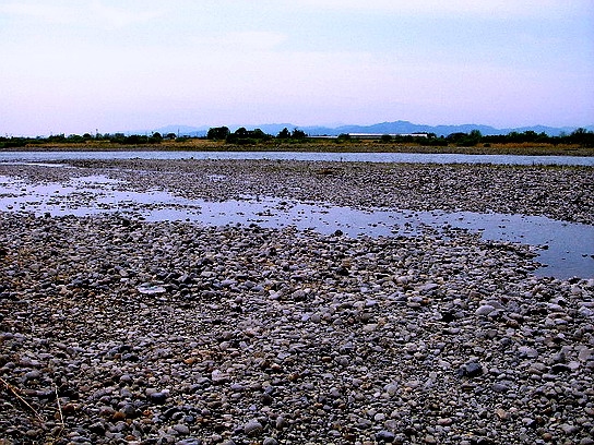 f0084561_14222890.jpg