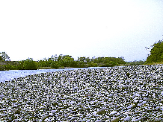 f0084561_14231298.jpg